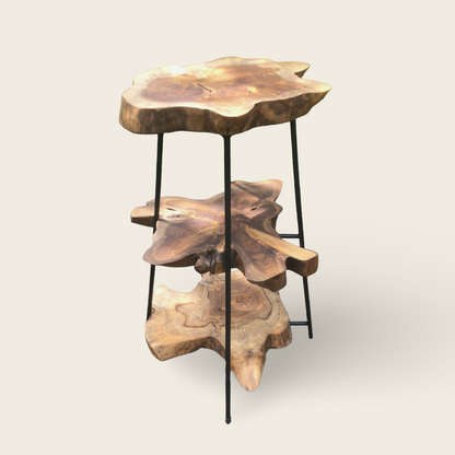 Teak Slice Stand | Wood & Black Iron | Handmade Display Base | 75cm