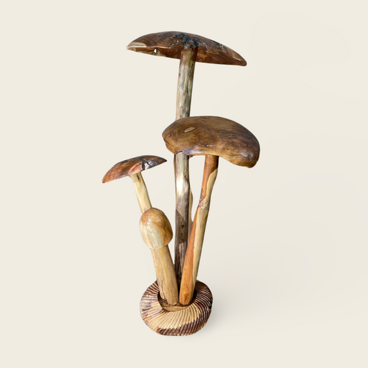 Teak Mushroom Cluster | Natural Sculpture | 130 cm