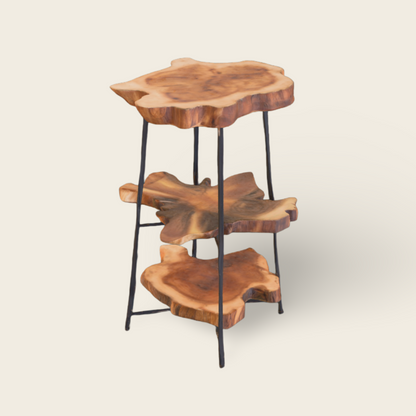 Teak Slice Stand | Wood & Black Iron | Handmade Display Base | 75cm
