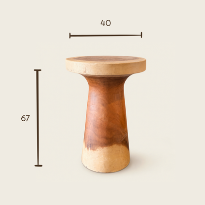 Teak Pedestal Stool | Sculptural Accent | 40x67 cm