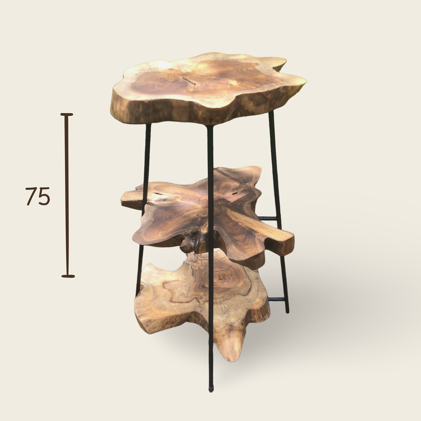 Teak Slice Stand | Wood & Black Iron | Handmade Display Base | 75cm