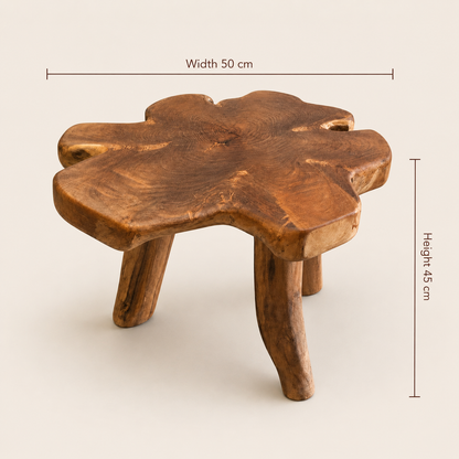 Teak Beistelltisch rund | Massives Teakholz | 50x45 cm
