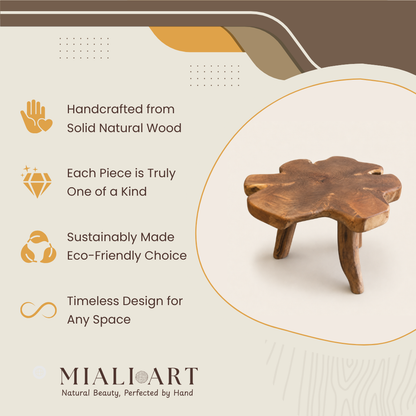 Teak Beistelltisch rund | Massives Teakholz | 50x45 cm