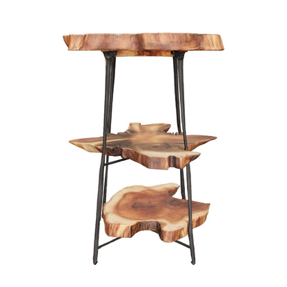 Teak Slice Stand | Wood & Black Iron | Handmade Display Base | 75cm