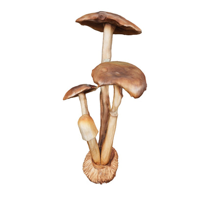 Teak Mushroom Cluster | Natural Sculpture | 130 cm